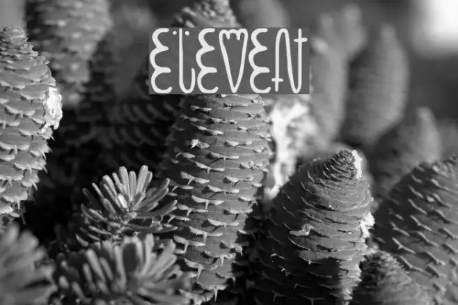 eleven Example 1