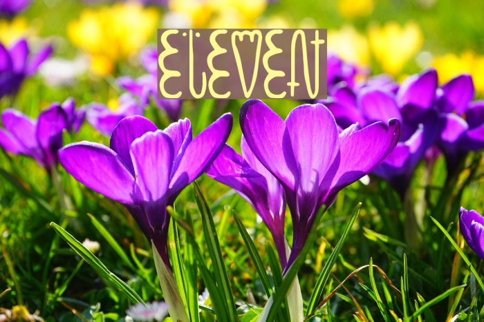 eleven Font examples