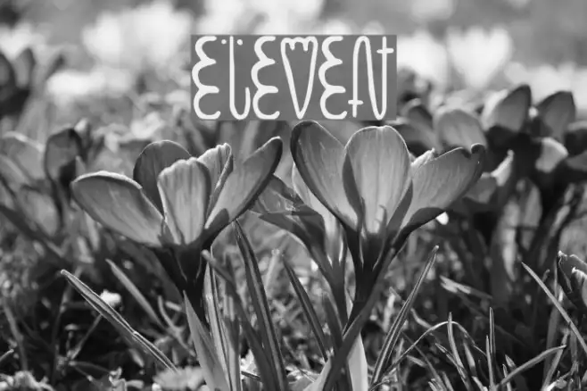 eleven Example 2