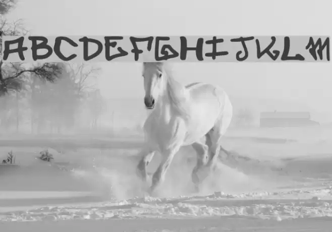 elevenoonehand1 Font examples