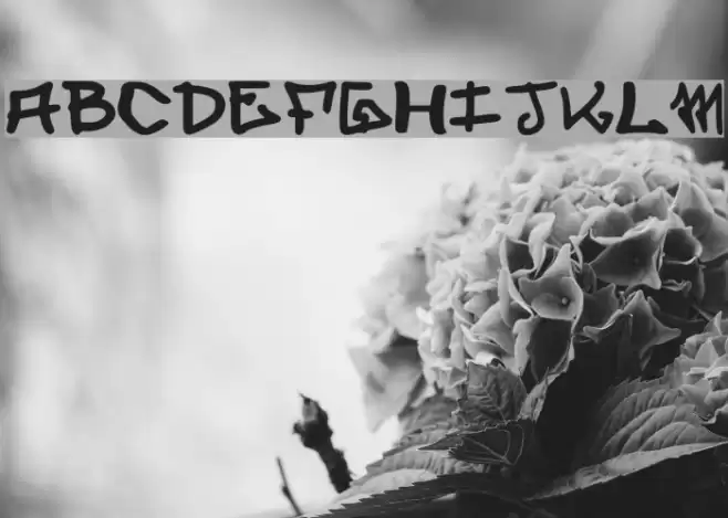 elevenoonehand1 Font examples