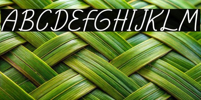 elfia Bold Example 1