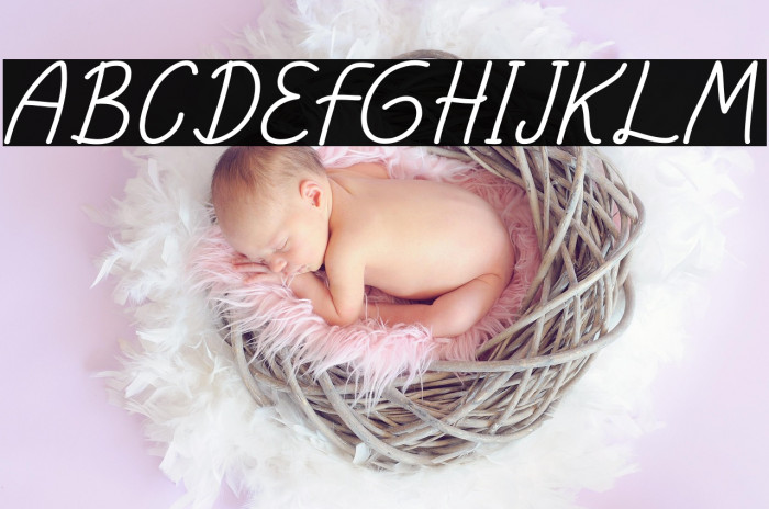 elfia Bold Example 3