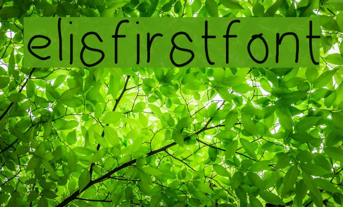 elisfirstfont Font examples