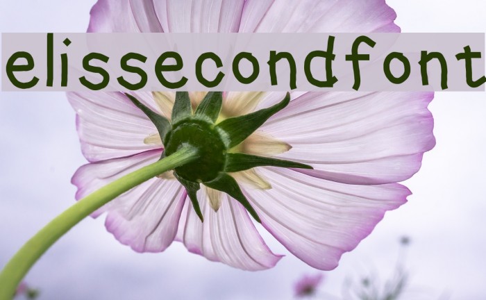 elissecondfont Font examples