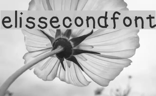 elissecondfont フォント examples
