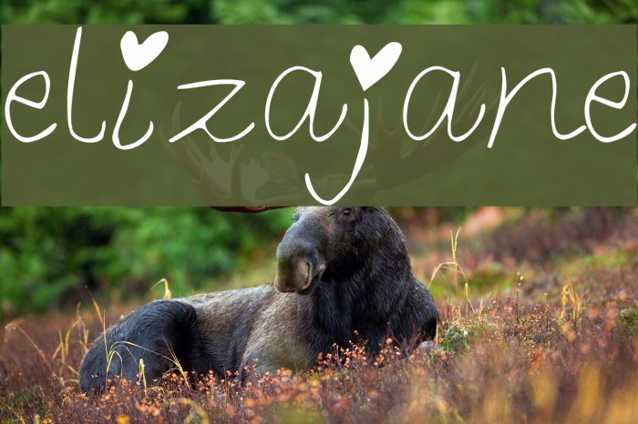 elizajane Font examples