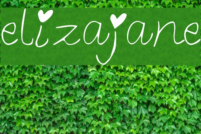 elizajane Font examples