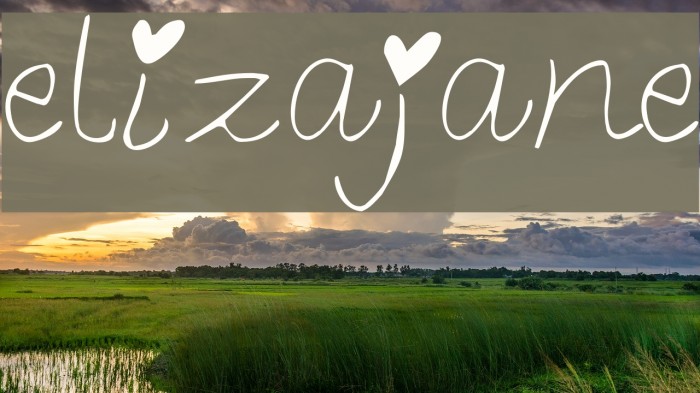 elizajane Font examples
