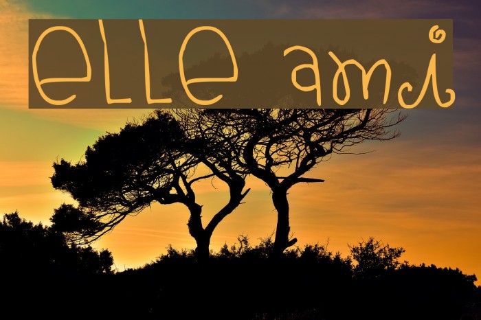 elle ami Font examples