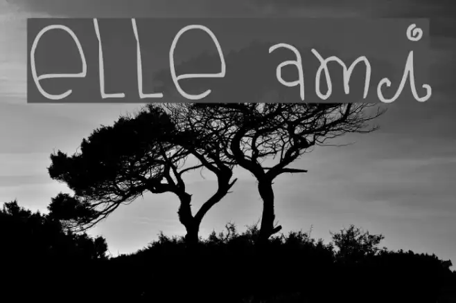 elle ami Example 3