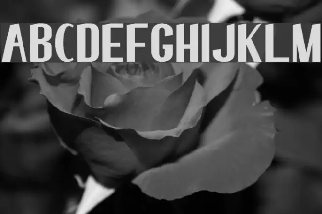 elma 01 Font examples