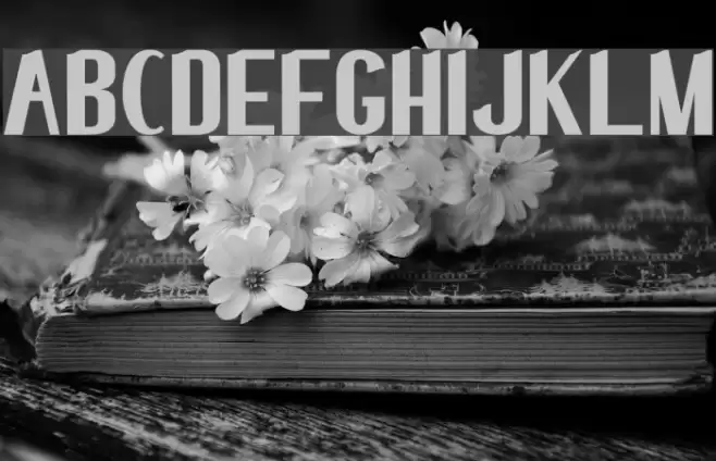 elma 03 Font examples