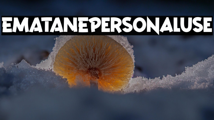 EMATANEPersonalUse Example 1