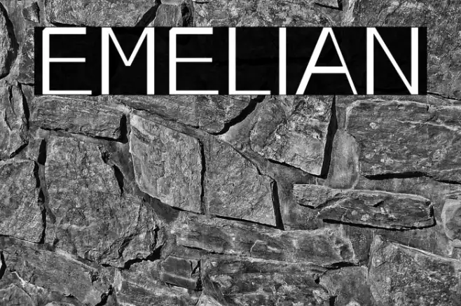EMELIAN Example 1