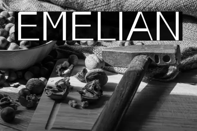 EMELIAN Example 2