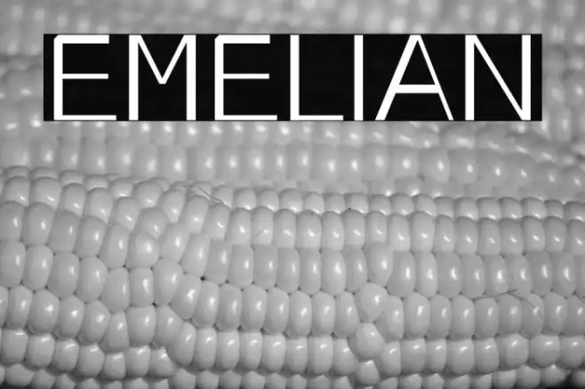 EMELIAN Example 3