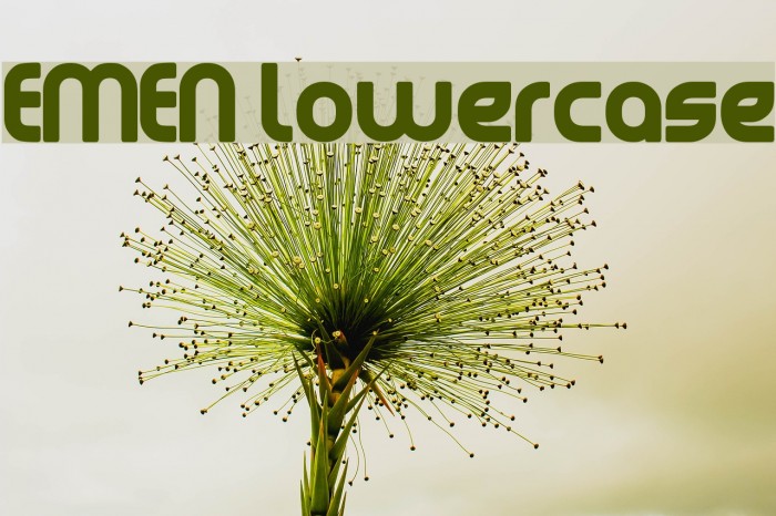 EMEN Lowercase Font examples