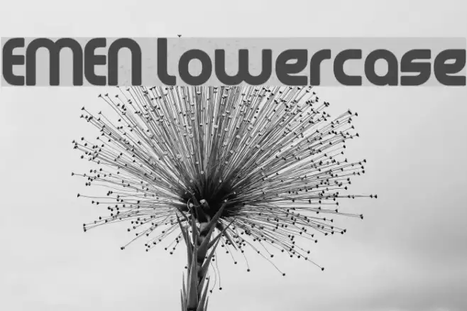 EMEN Lowercase Example 1