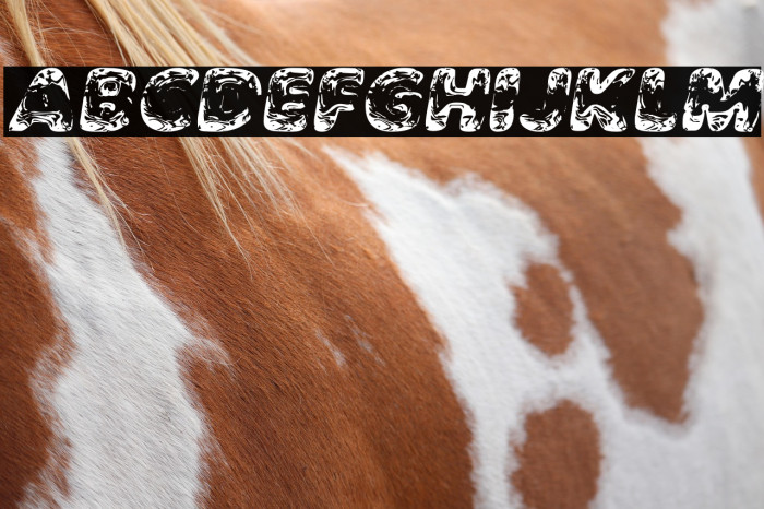 EMERALDHILLPERSONALUSE-BdIt Example 3