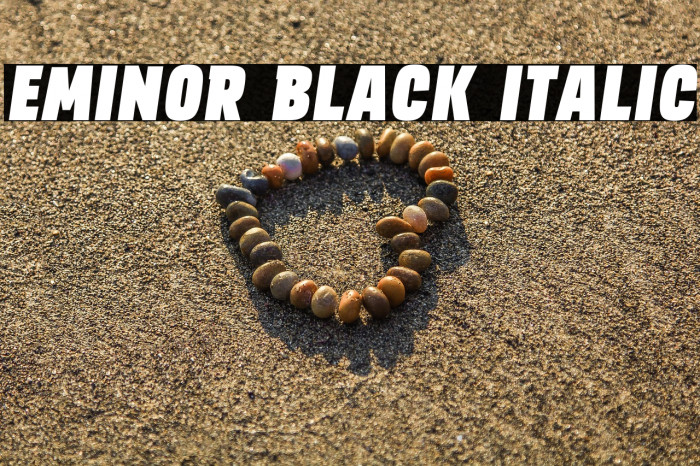 EMINOR Black Italic Example 1
