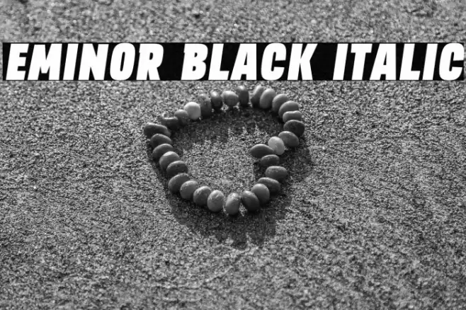 EMINOR Black Italic Font examples
