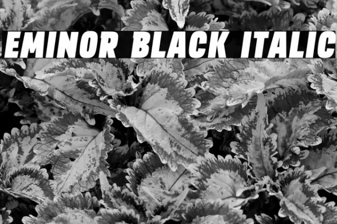 EMINOR Black Italic Font examples