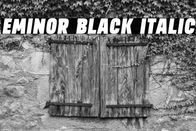 EMINOR Black Italic Font examples