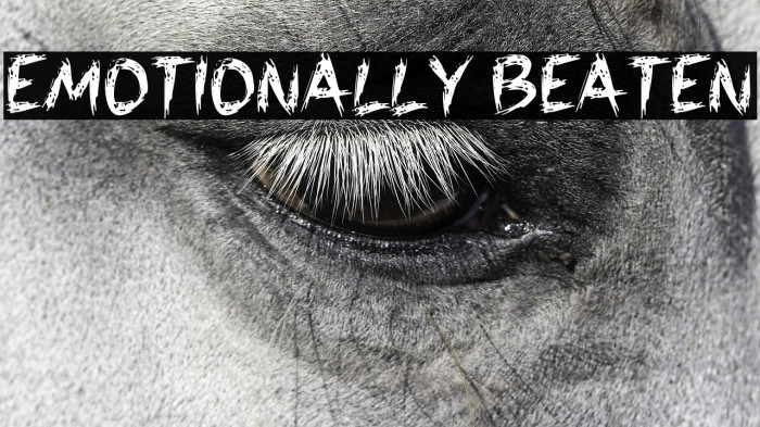 EMOTIONALLY BEATEN Example 1