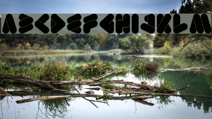 EMPEROROFJAPAN-Bold Example 2