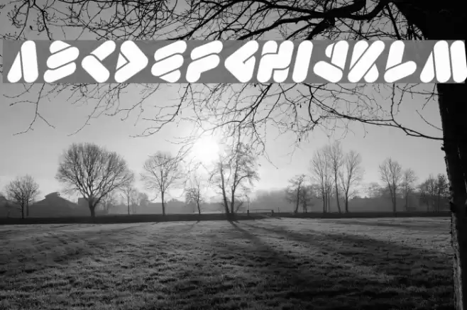 EMPEROROFJAPAN-Italic Font examples