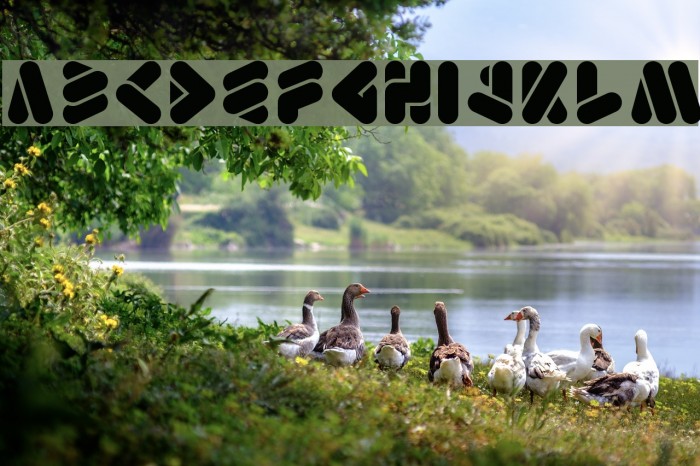 EMPEROROFJAPANLight Example 1