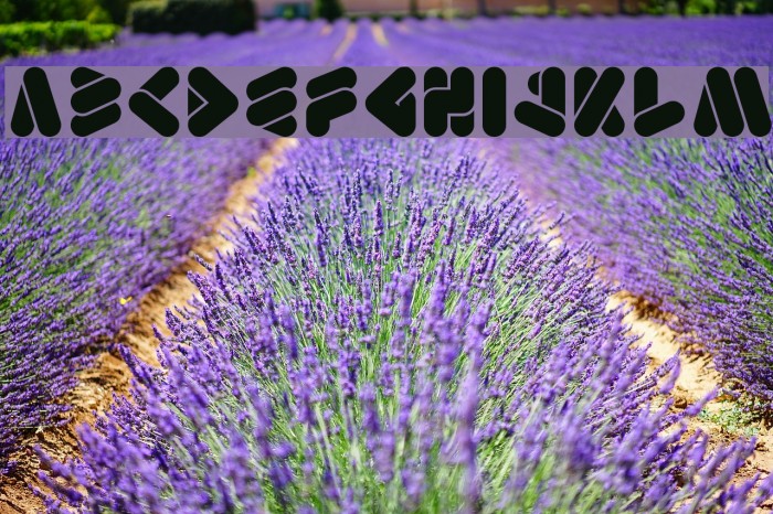 EMPEROROFJAPAN Font examples