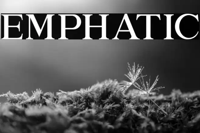 EMPHATIC Example 1