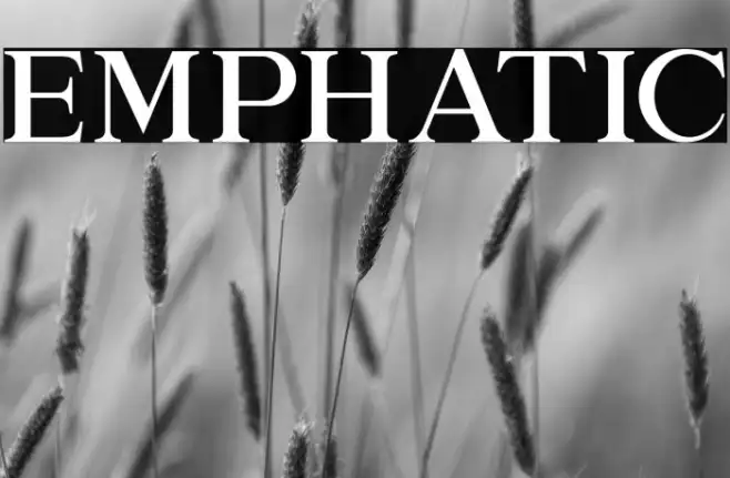 EMPHATIC Example 2