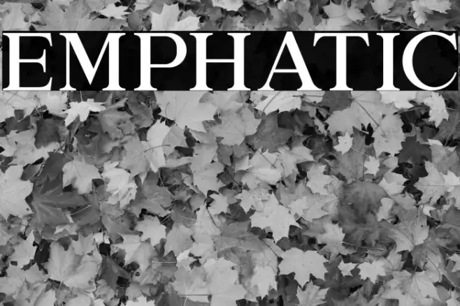 EMPHATIC Example 3