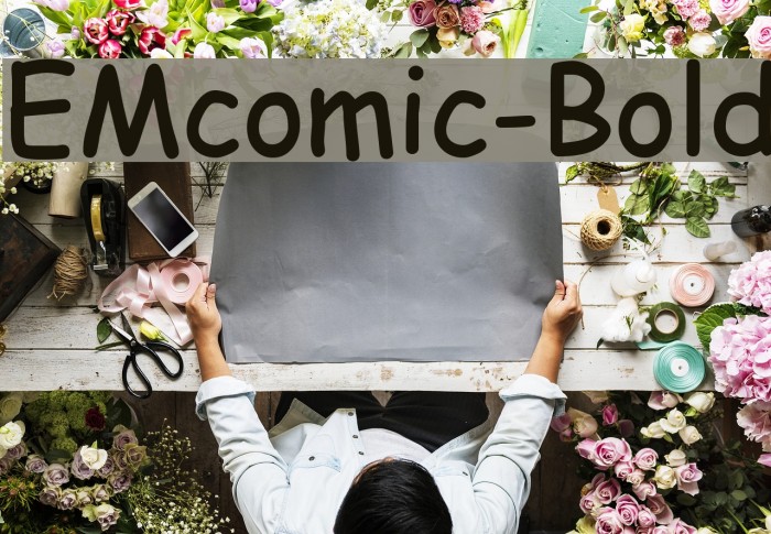 EMcomic-Bold Font examples