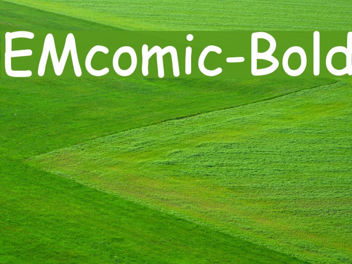 EMcomic-Bold Font examples