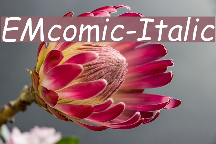 EMcomic-Italic Font examples