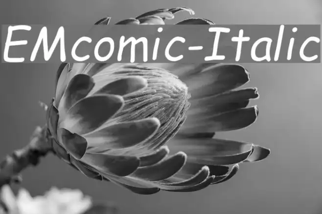 EMcomic-Italic Example 1