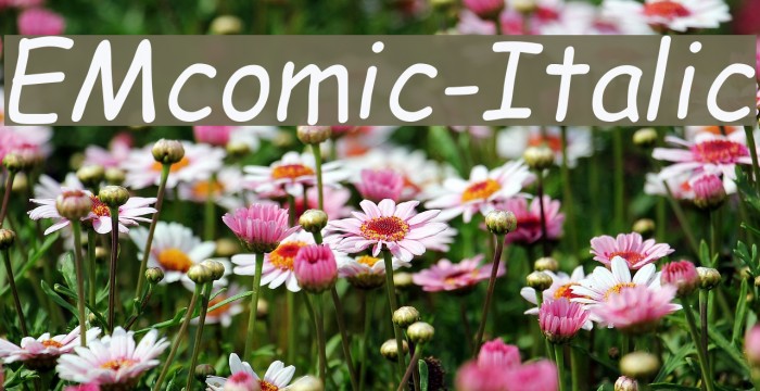 EMcomic-Italic Font examples