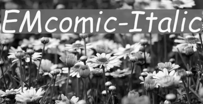 EMcomic-Italic Example 3