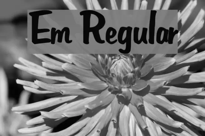 Em Regular Font examples