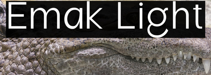 Emak Light Example 2
