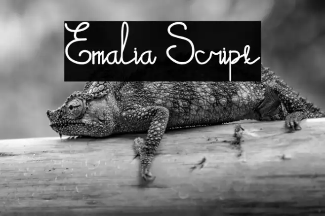 Emalia Script Example 1
