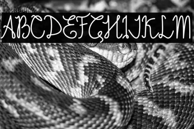 EmaliaDemo Font examples