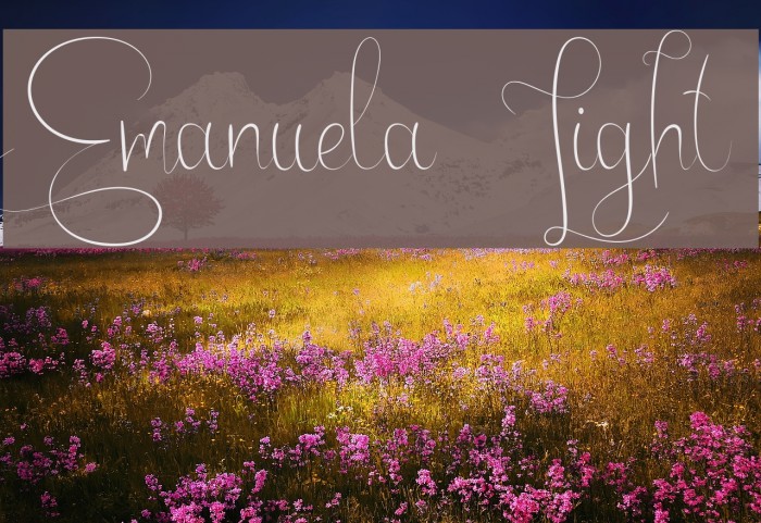 Emanuela Light Font examples