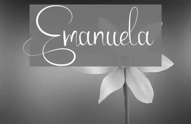 Emanuela Example 2