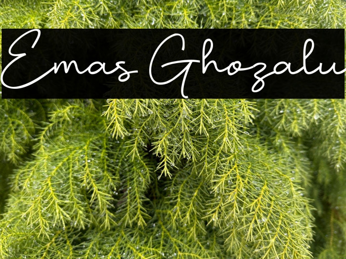 Emas Ghozalu Example 2