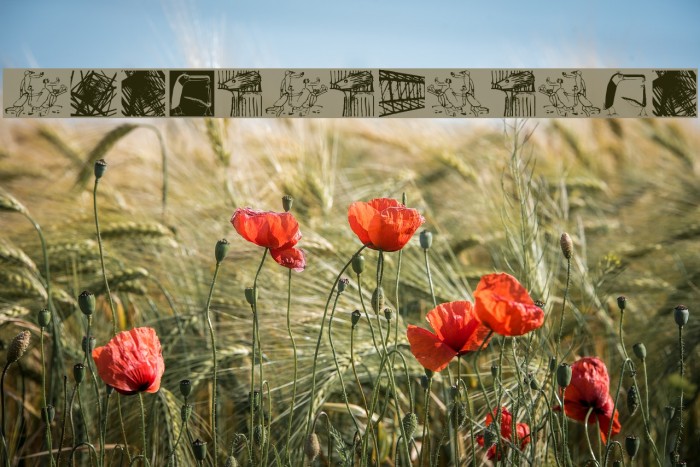 EmastEtcetera Example 2